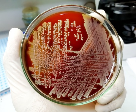 best microbiological testing lab in mumbai